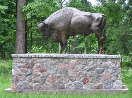 Bisonte símbolo del área protegida de Bialowieza